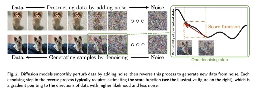 Illustration du processus de diffusion (forward et reverse) — une image nette progressivement bruitée (forward), puis débruitée étape par étape (reverse).
